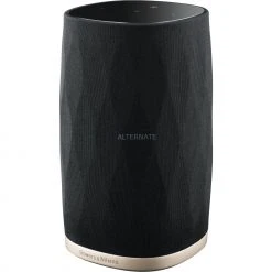 Lautsprecher Boxen Bowers & Wilkins Formation FLEX, Lautsprecher (schwarz, AirPlay 2, Bluetooth)