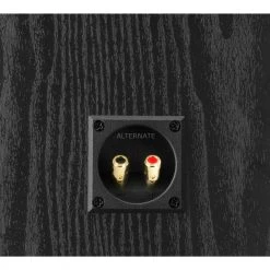 Lautsprecher Boxen DALI ALTECO C-1, Lautsprecher (schwarz, Paar) -Lautsprecher Verkäufe DALI ALTECO C 1 Lautsprecher@@1794347 4